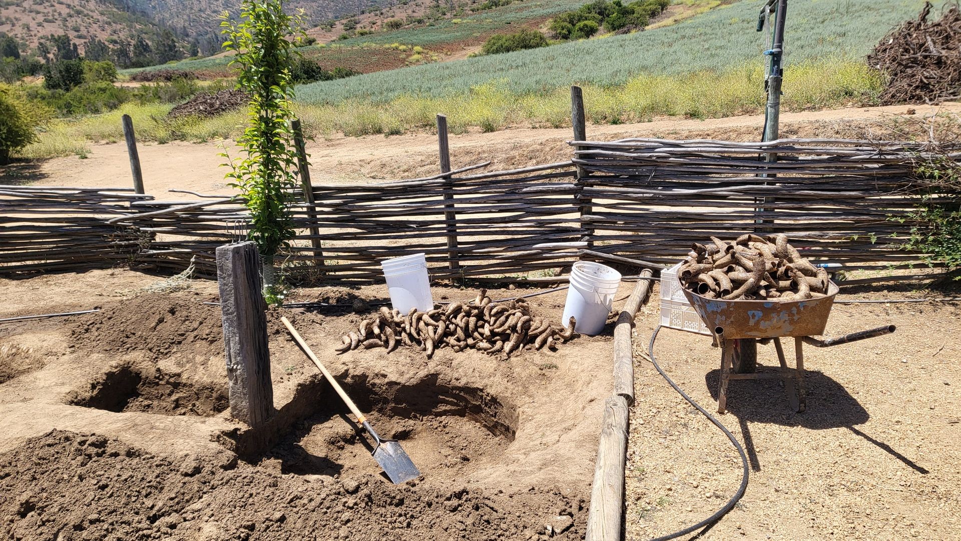 Biodynamic & Organic Experience