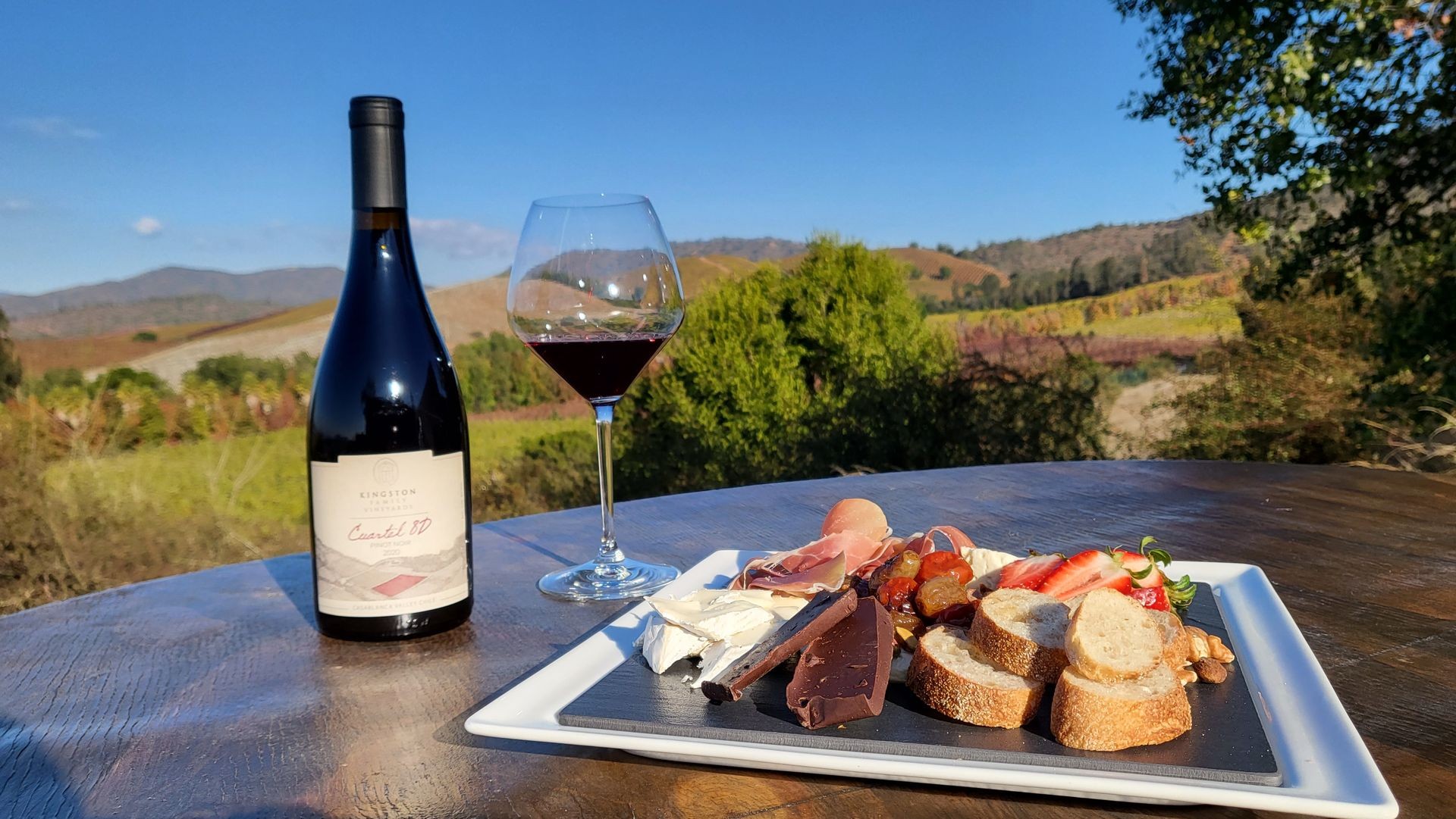 Premium Wine Tastings